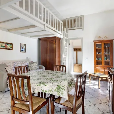 8 Mehari 바리고티