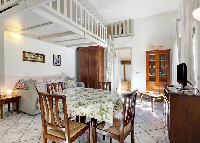 8 Mehari 바리고티